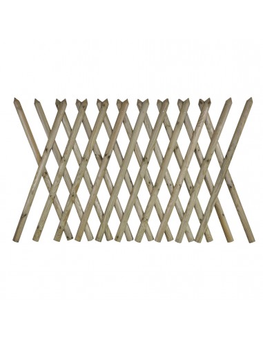 STACCIONATA A ROMBO ESTENSIBILE 250 X 100h.
